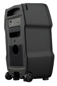 اسپیکر قابل حمل و شارژی آیوا مدل SS-X100DSP