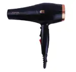 سشوار پاناسونیک