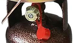 پیک نیک 4.5 کیلویی پارسا