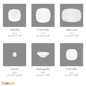 سرویس چینی 27 پارچه غذاخوری زرین آرتین