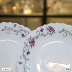 بشقاب غذاخوری آرکوپال پارس اپال مدل لیندا کد 250